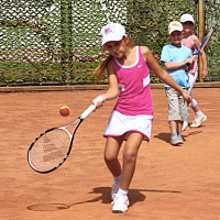 Борисовский теннисный клуб