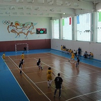Учреждение «Детско-юношеская спортивная школа № 1»